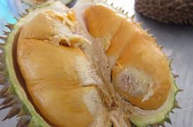 durian candi mulyo